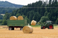  5.319 Milliarden Euro will die Regierung im Jahr 2015 im Bereich Landwirtschaft ausgeben.