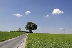 Straße auf dem Lande