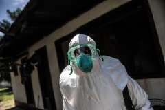 Deutschland soll sich verstärkt an der Bekämpfung des Ebolavirus beteiligen.