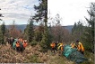 Der prächtige Baum stammt aus dem Naturpark Fichtelgebirge und wurde am Westhang Nusshardt geschlagen.