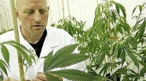 Video Zugang zu Cannabis-Medikamenten