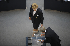 Plenarassistenten an der Wahlurne für die Bundesversammlung