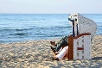 Touristen im Strandkorb