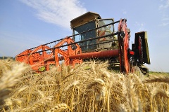 Der Landwirtschaftsetat ist Debattenthema am Dienstag, 24. Juni.