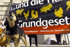 Demonstration von Bündnis 90/Die Grünen gegen Tierversuche im Jahr 2000