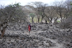 Der Bundestag würdigt die schwierige Arbeit der Hilfsorganisationen, etwa in den Dürregebieten Afrikas.