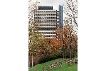 Blick auf das Bonner Abgeordnetenhaus, genannt "Langer Eugen", aufgenommen am 29.10.1996.