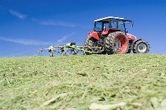 Trecker bei Grasschnitt