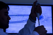 Ein Forscher im Forschungsinstitut für die Biologie landwirtschaftlicher Nutztiere arbeitet mit einer Pipette