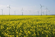 Die Mindestabstände von Windenergieanlagen beschäftigen den Umweltausschuss.