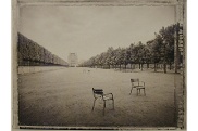 Jardin des Tuileries I (Serie Paris im Licht)