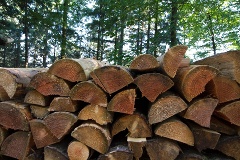 Die Grünen wollen die kooperative Holzvermarktung erhalten.