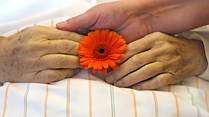 Video 133. Sitzung, TOP 3: Hospiz- und Palliativversorgung