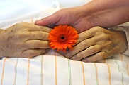 Der Bundestag hat die Hospiz- und Palliativversorgung neu geregelt.