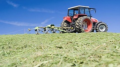 Trecker bei Grasschnitt