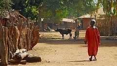 Dorf in Gambia