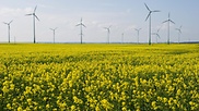 Die Mindestabstände von Windenergieanlagen beschäftigen den Umweltausschuss.