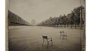 Jardin des Tuileries I (Serie Paris im Licht)