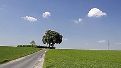 Straße auf dem Lande