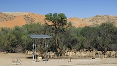 Solaranlage in Namibia