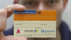 Junger Mann hält einen Organspendeausweis