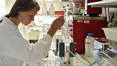 Studentin arbeitet im Labor im Deutschen Institut für Ernährungswissenschaften