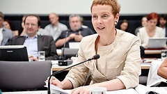 Sabine Leidig (Die Linke.)