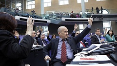 Abstimmung mit Handzeichen im Plenum