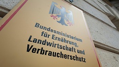 Der Bundestag debattiert über Verbraucherschutzpolitik.