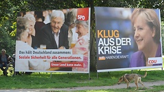 Wahlkampf2009