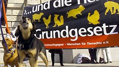 Demonstration von Bündnis 90/Die Grünen gegen Tierversuche im Jahr 2000