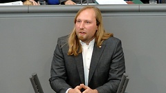 Dr. Anton Hofreiter (Bündnis 90/Die Grünen)