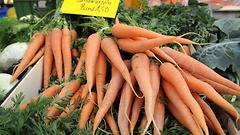 Frische Möhren auf einem Markt.