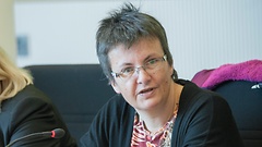 Kathrin Vogler (Die Linke)