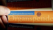 Video Ja zum Transplantationsbeauftragten