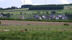 Die Massentierhaltung im Außenbereich soll beschränkt werden