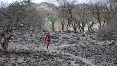Der Bundestag würdigt die schwierige Arbeit der Hilfsorganisationen, etwa in den Dürregebieten Afrikas.