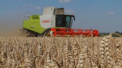 Der Agraretat bleibt stabil.