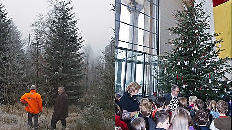 52 Schülerinnen und Schüler der Dr.-Franz-Bogner-Grundschule aus dem bayerischen Selb durften die Tanne mit selbst gebastelten Porzellanornamenten schmücken und an den Bundestagsvizepräsidenten Eduard Oswald übergeben.