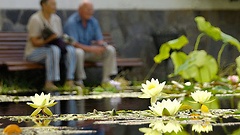 Mitteilungen für die spätere Rente sollen vereinfacht werden.