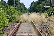 Die Linke scheiterte mit ihrem Antrag, die Mittel für den Schienenpersonennahverkehr anzuheben.
