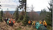 Der prächtige Baum stammt aus dem Naturpark Fichtelgebirge und wurde am Westhang Nusshardt geschlagen.