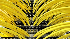 Netzwerkkabel in einem Serverraum in Berlin