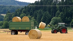  5.319 Milliarden Euro will die Regierung im Jahr 2015 im Bereich Landwirtschaft ausgeben.