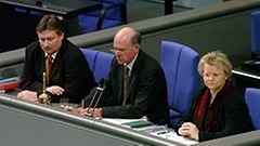 The Secretaries in the plenary