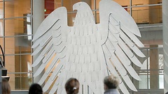 Adler im Plenum