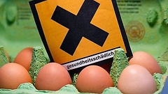 Eierpackung und Giftwarnzeichen