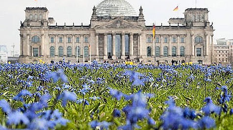 Blumen vor dem Platz der Republik mit Reichstag im Hintergrund