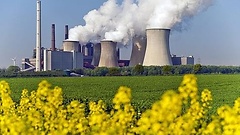 Atomkraftwerk und Rapsfeld