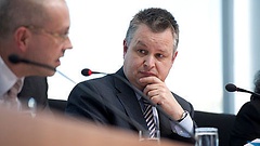 Michael Link (FDP)